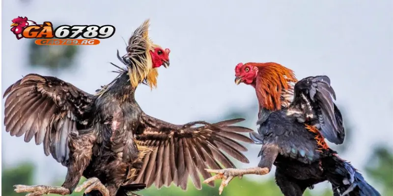 Bạn sẽ được hỗ trợ tận tâm, chu đáo và nhiệt tình nhất.