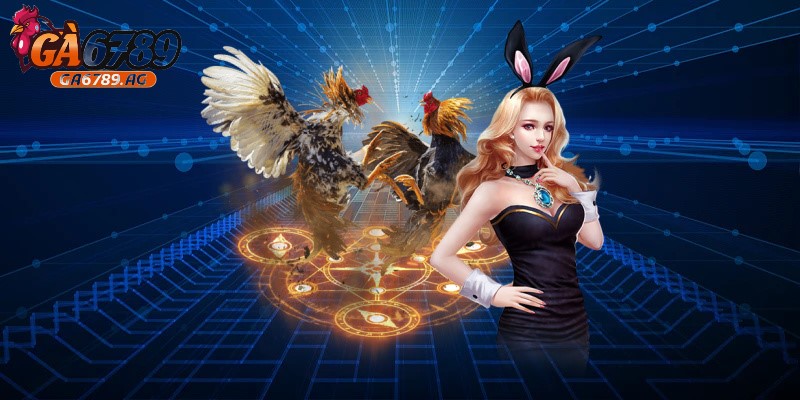 Cần chú ý cách chọn gà chiến