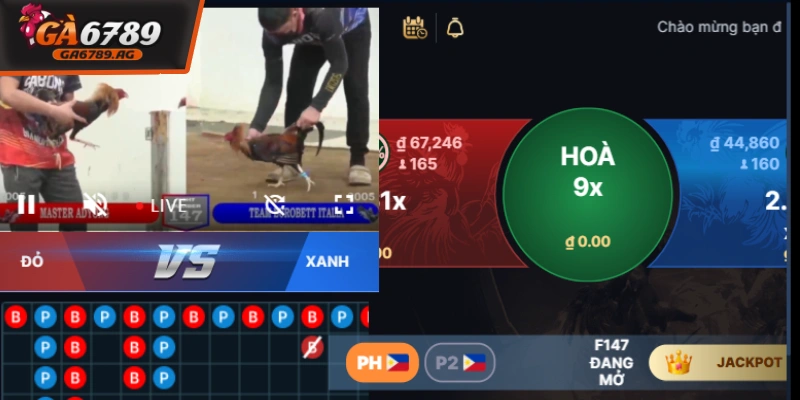 da ga campuchia co the vua xem vua dat cuoc tien loi tai ga6789