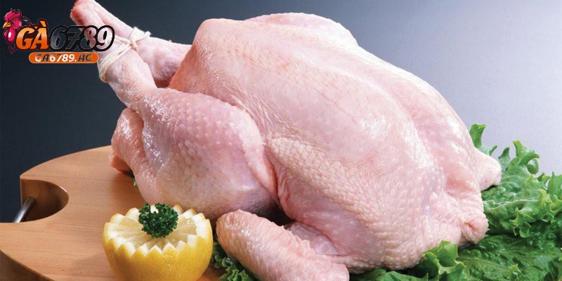 Gà đá chết có ăn được không được người chơi quan tâm